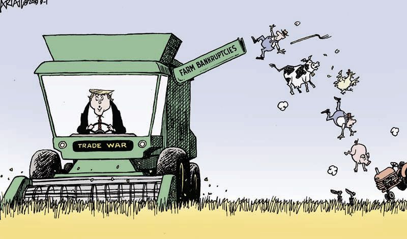 Family farms